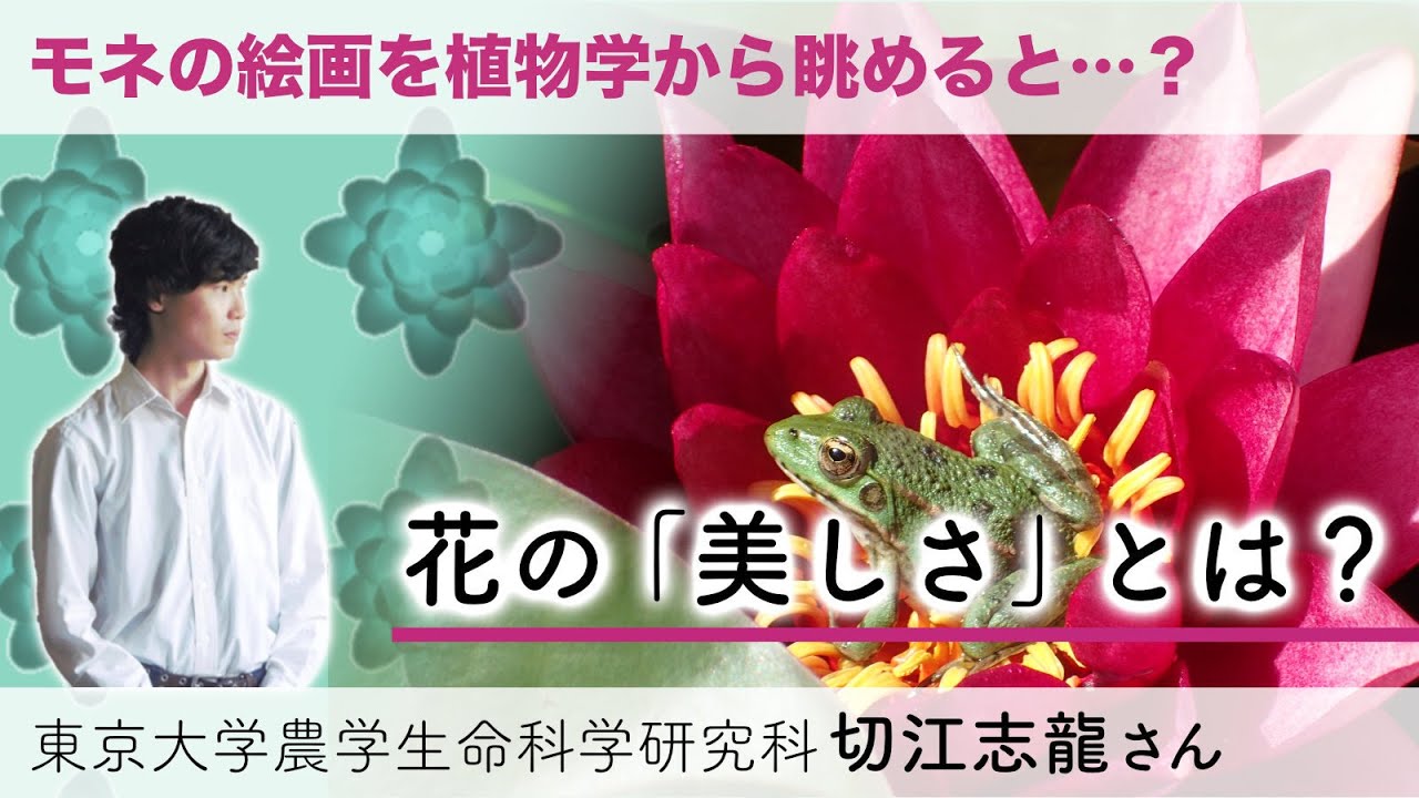 1759775101_maxresdefault-4540767-8308285-jpg