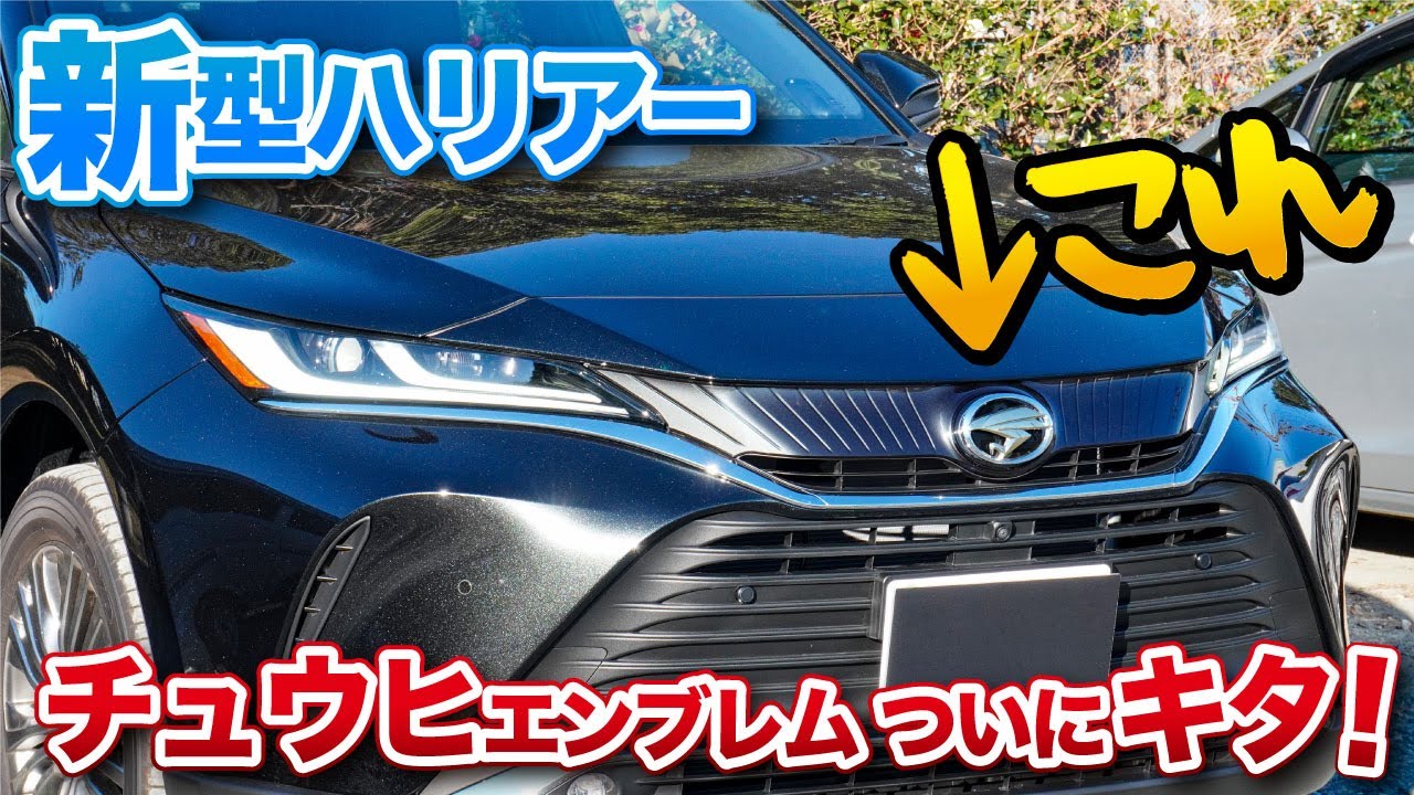 1763702234_maxresdefault-3113194-3111823-jpg