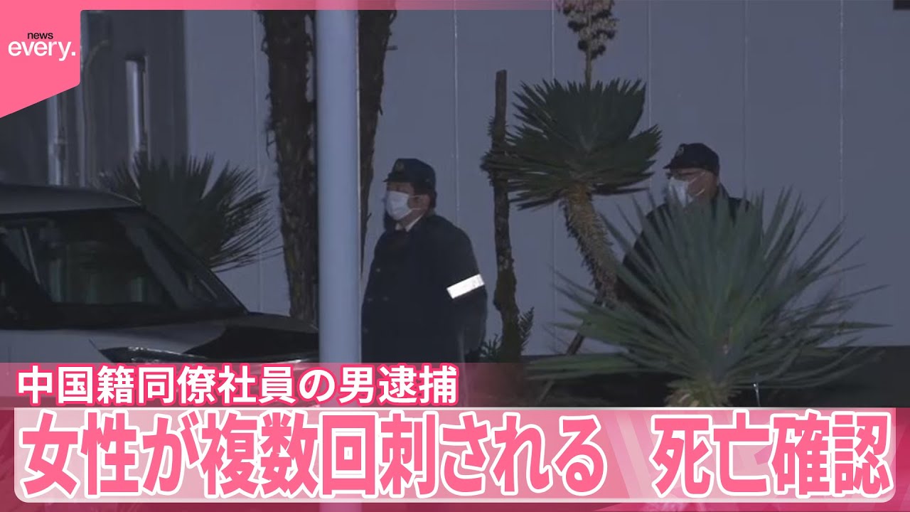 1764988184_maxresdefault-5380977-5941963-jpg