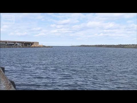 1765565633_hqdefault-9984273-9202770-jpg