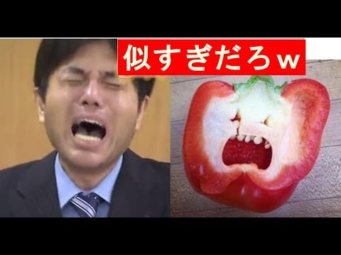 1765721030_hqdefault-6272655-2635406-jpg