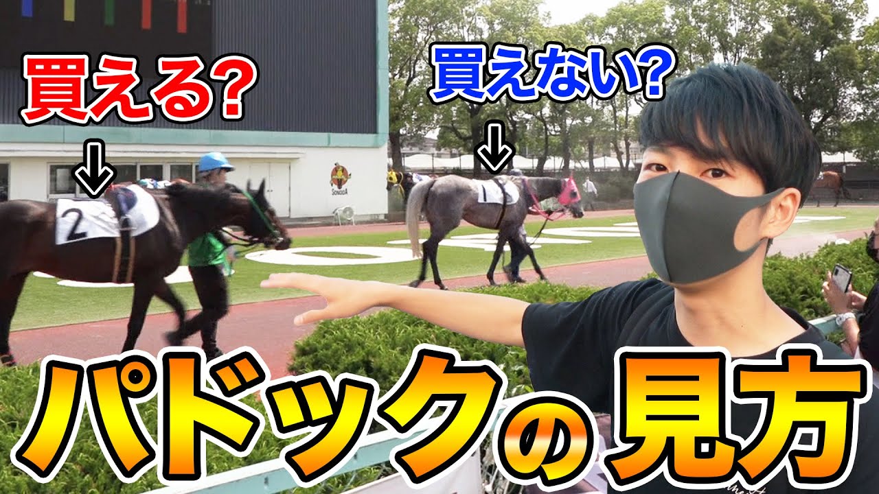 1767943599_maxresdefault-4766388-7596962-jpg