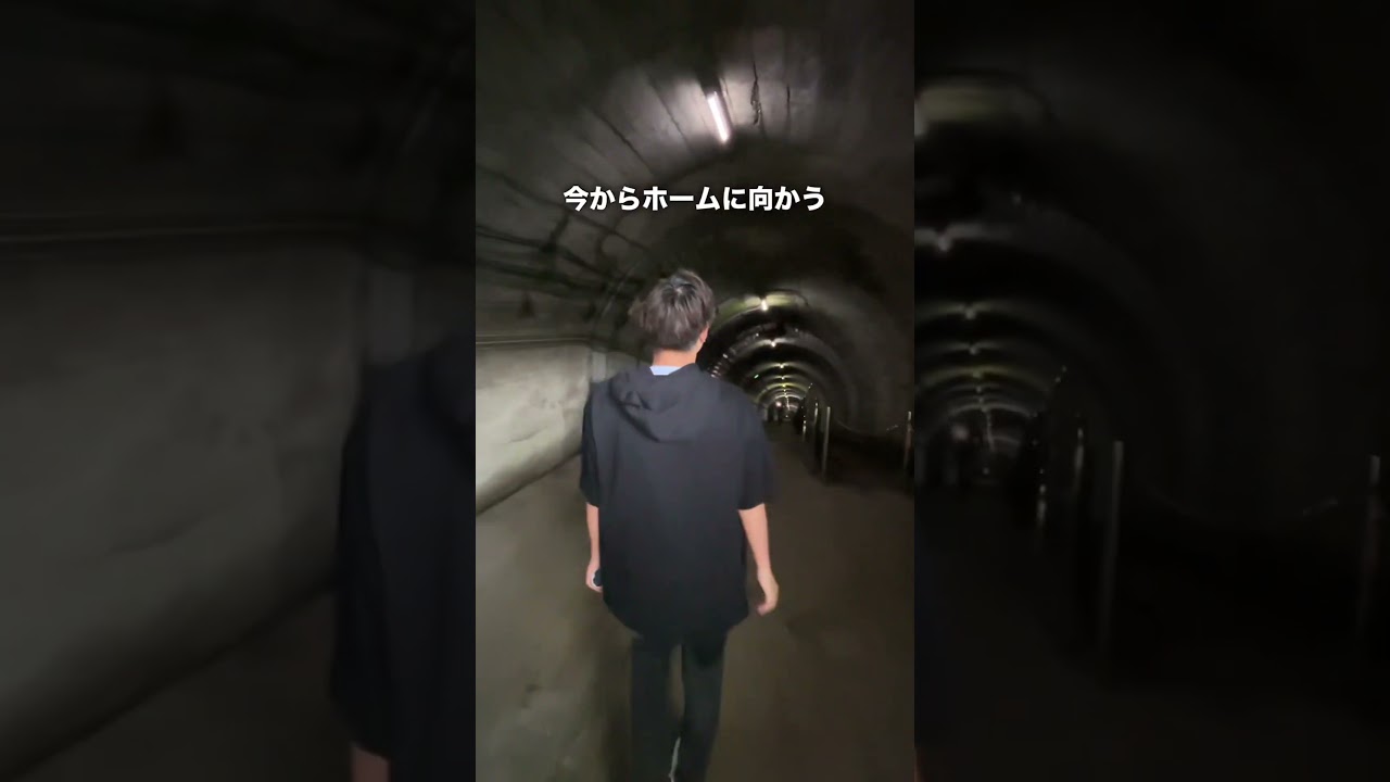 1769028974_maxresdefault-3915585-3411727-jpg