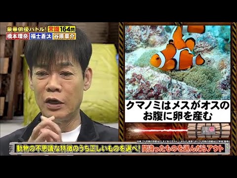 1769461911_hqdefault-5047253-4211917-jpg